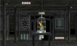 Parrots Escape image