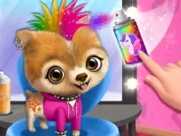 image bg Rock Star Animal Hair Salon