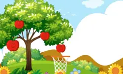 Hoops & Fruits image