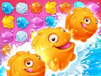 Shell Splash image