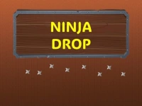 Ninja Drop image
