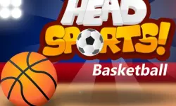 Head Sports Basketball image
