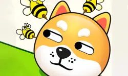 Save Dogs from Bee image