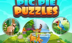 Pic Pie Puzzles image