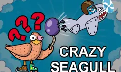 Crazy Seagull image
