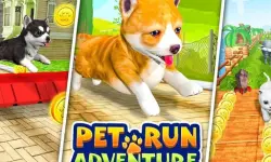 Pet Run Adventure Puppy Run image