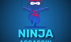 Ninja Assassin image
