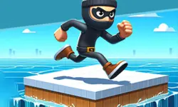 Coin Thief 3D Race image