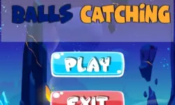Balls Catching image