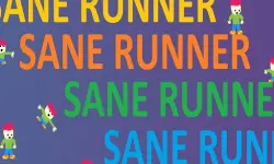 Sane Runner image