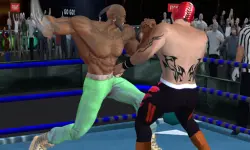 Real Boxing Fighting Game image