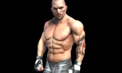 Fight Arena Online image