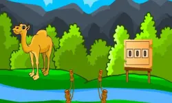 Rescue The Hungry Camel image