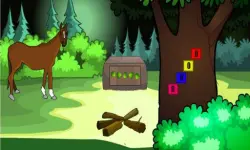 Hexgon Gate Escape image