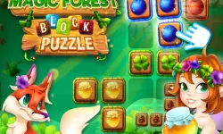 Magic Forest : Block Puzzle image