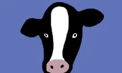 image bg Paint Cow