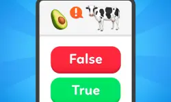 True False - Quiz image