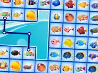 Fish Connections image
