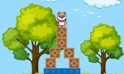 image bg Box Challenge