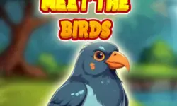 Meet The Birds image