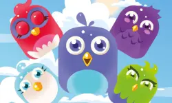 Bird Match Master image