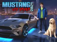 image bg Mustang City Driver 2024