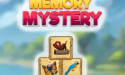 Memory Mystery image