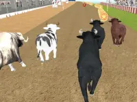 Bull Racing image