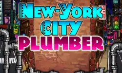 Newyork City Plumber image