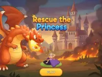Rescue The Princess image
