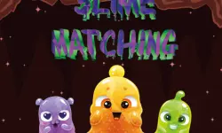 Slime Matching image