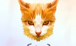 Poly Art image