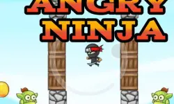 Angry Ninja image
