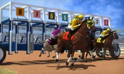 Bet Horse Racing image