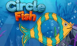 Circle Fish image