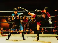 Fighters in the Ring image