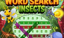 Word Search Insects image