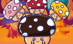 Mushroom Match Master image