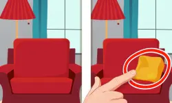 Spot The Difference 2 image