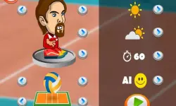 Head Volleyball image