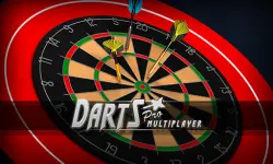 Darts Pro Multiplayer image