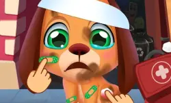 Stray Puppy Pet Care image