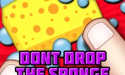 Dont Drop The Sponge image