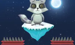 Jumping Raccoon image