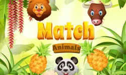 Match Animals image