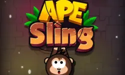 APE Sling image