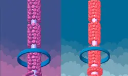 Clean The Tube image