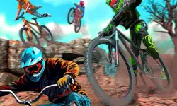 Bike Stunt BMX Simulator image