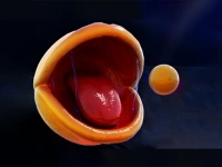image bg Pac-Man Rtx On