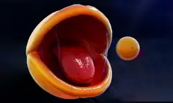 Pac-Man Rtx On image